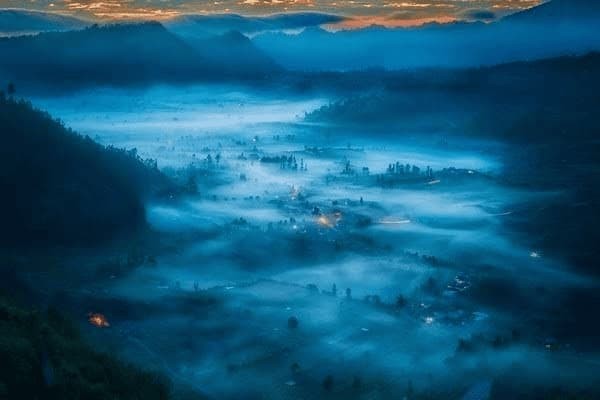 明星学渣高考成绩，明星学渣高考成绩排名