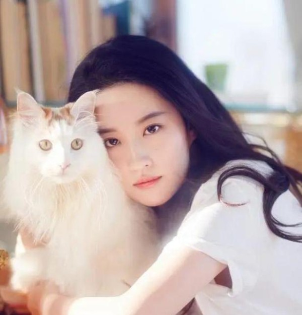 妹子领养到刘亦菲救助的猫，还收到巨款当嫁妆，太有爱心了