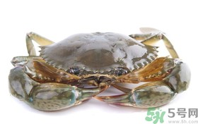 梭子蟹能冷冻吗？梭子蟹如何冷冻保存？