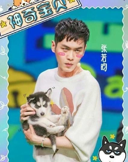 张若昀哈士奇撞脸图片 与二哈的对比照：哈士奇的梗怎么来的