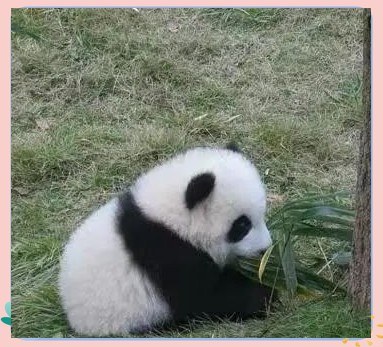 图片7