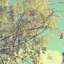 慢笔情祎墨甪