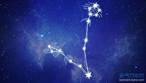 双鱼女与摩羯男：星座相配指数揭秘！