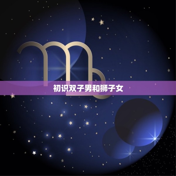 双子男对狮子女的感觉(介绍爱情还是友情) 第1张