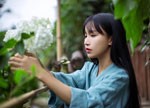 李子柒复出