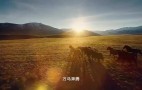 “中国梦”主题新创作歌曲《大道同行》