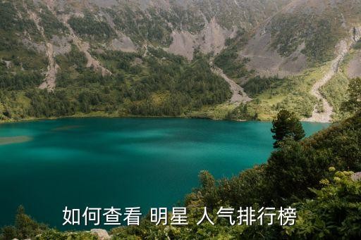 如何查看 明星 人气排行榜