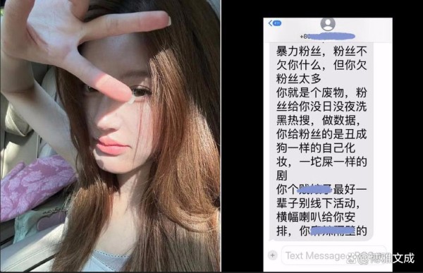 赵露思微博事件：网络暴力与公众人物权益保护的深度剖析