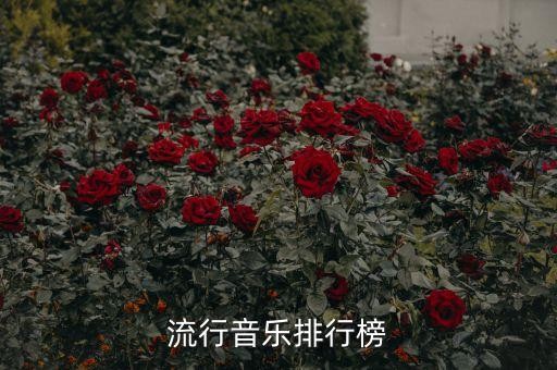 流行音乐排行榜