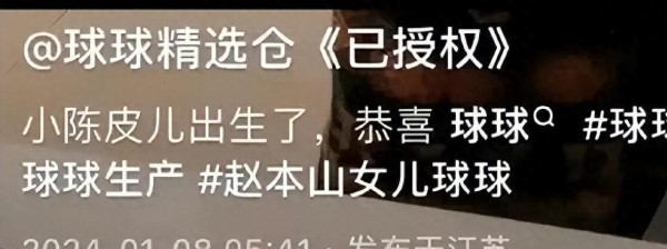 娱乐圈新星闪耀：揭秘新晋演员小花的成名之路
