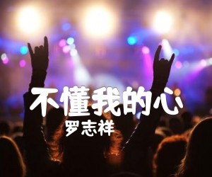 罗志祥《不懂我的心》G调吉他谱
