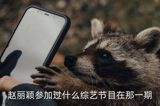 赵丽颖参加过什么综艺节目在那一期