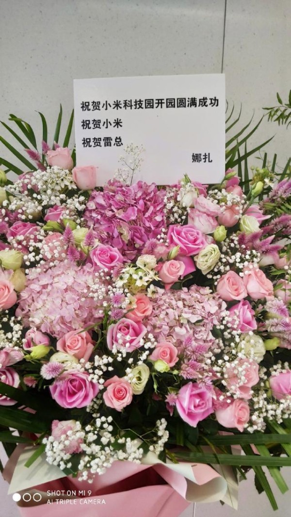 小米今日正式入住小米科技园，谢霆锋、王源、娜扎等明星送祝福