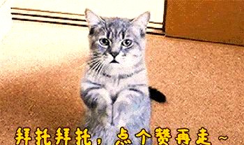 图片11