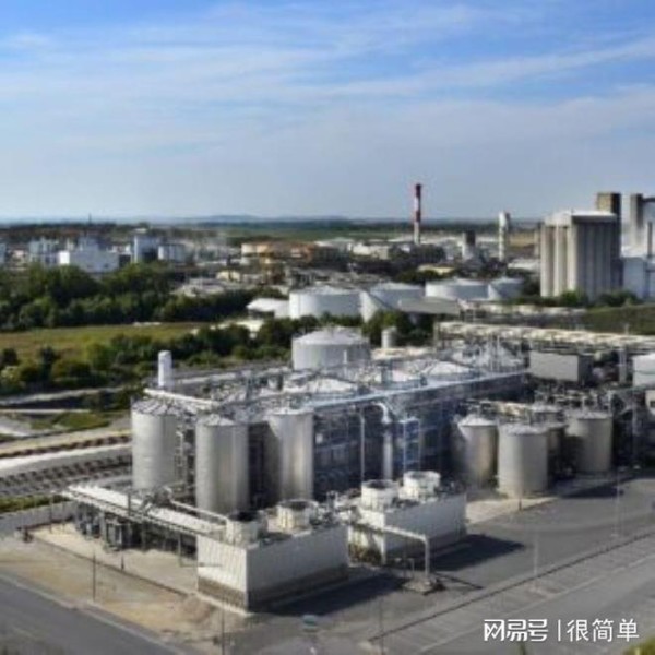 全球与中国除虫菊素行业竞争动态及前景营销发展趋势报告2024
