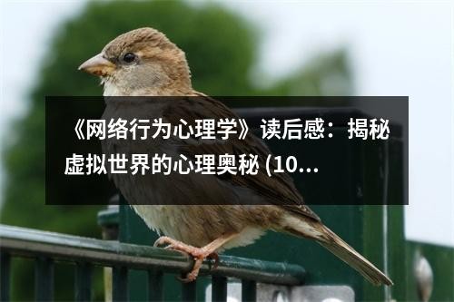 《网络行为心理学》读后感：揭秘虚拟世界的心理奥秘 (1000字)