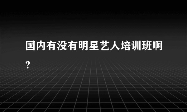 国内有没有明星艺人培训班啊？