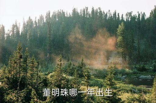 董明珠哪一年出生