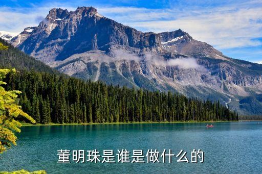 董明珠是谁是做什么的