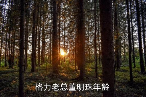 格力老总董明珠年龄