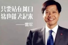 IT精英—雷军