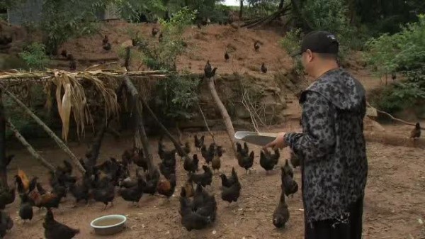 他靠"三德子"一角红遍大江南北，为何如今却隐身山林专心养鸡？