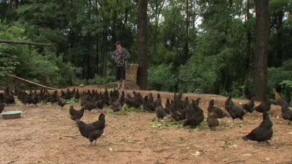 他靠"三德子"一角红遍大江南北，为何如今却隐身山林专心养鸡？