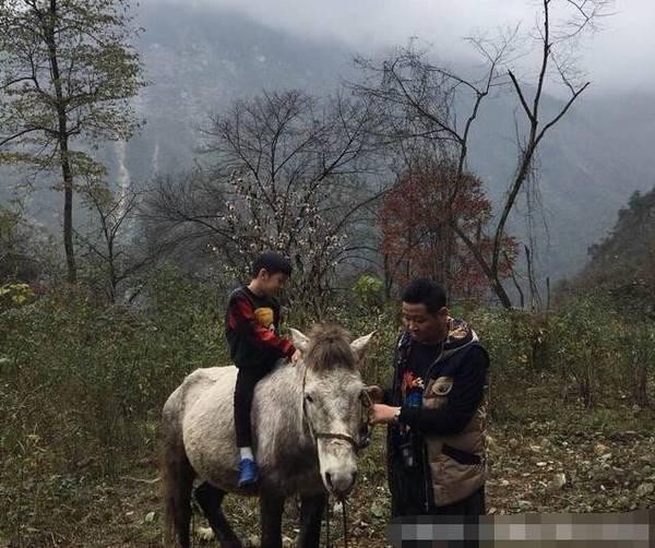 他是最经典的三德子, 娶小15岁娇妻, 如今在山中养鸡