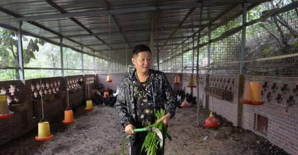 三德子赵亮隐居山林开养鸡场, 模特妻子陪伴在右
