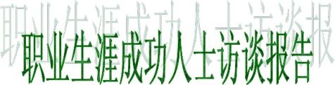 成功人士访谈报告（八篇）