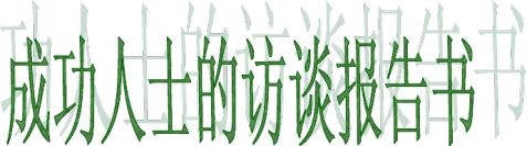 成功人士访谈报告书