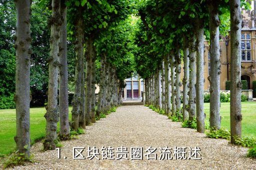 1. 区块链贵圈名流概述