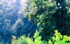 无锡暴雨预警！持续七天！