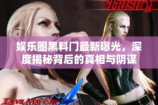 娱乐圈黑料门最新曝光，深度揭秘背后的真相与阴谋