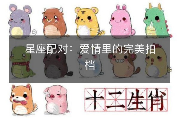 星座配对：爱情里的完美拍档