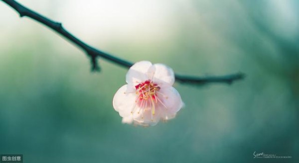 天生是“演员”的星座，恋爱中欺骗性十足