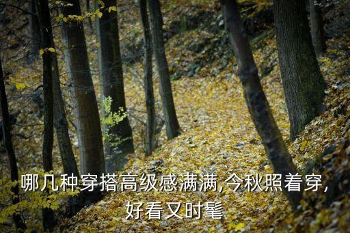 哪几种穿搭高级感满满,今秋照着穿,好看又时髦