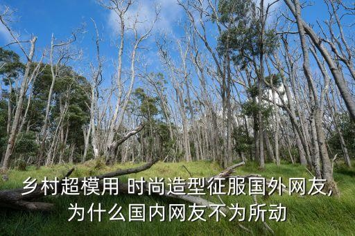 乡村超模用 时尚造型征服国外网友,为什么国内网友不为所动