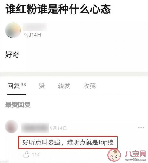 饭圈top癌是什么意思 top癌是什么梗