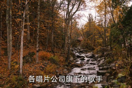 广州时代唱片公司歌手名称，各唱片公司旗下的歌手