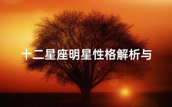 十二星座明星性格解析与娱乐圈影响力分析