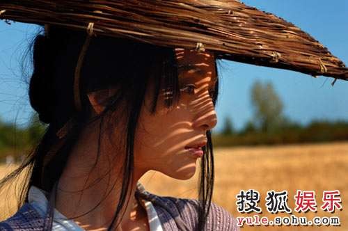范冰冰《麦田》