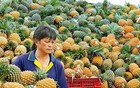 美智库：东沙岛对于中国至关重要，美军无法干涉