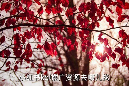 小红书kol推广资源去哪儿找