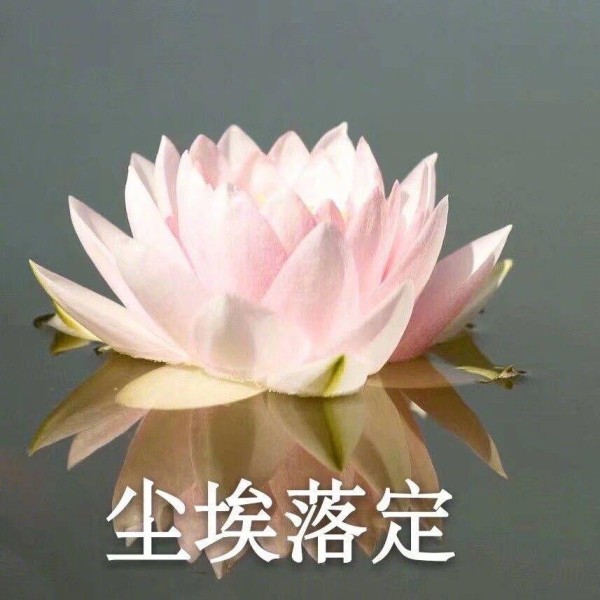哪些女明星有过抽脂的经历呢？