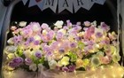 江苏男子交往40多名女友，颜值照曝光，网友：确实帅！
