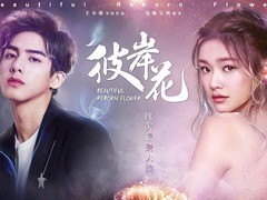 彼岸花 宋威龙