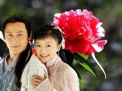 护花奇缘 张澜澜