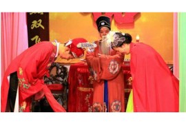 狮子座明星的璀璨星路