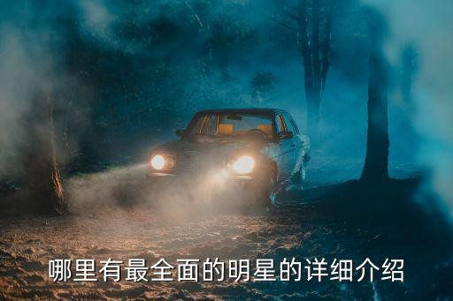 哪里有最全面的明星的详细介绍
